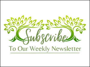 subscribe to enewsletter